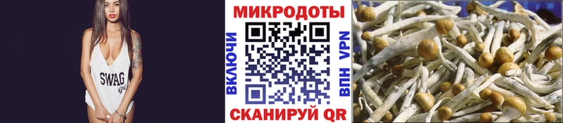 Галлюциногенные грибы MAGIC MUSHROOMS  купить закладку  hydra ссылка  Починок 